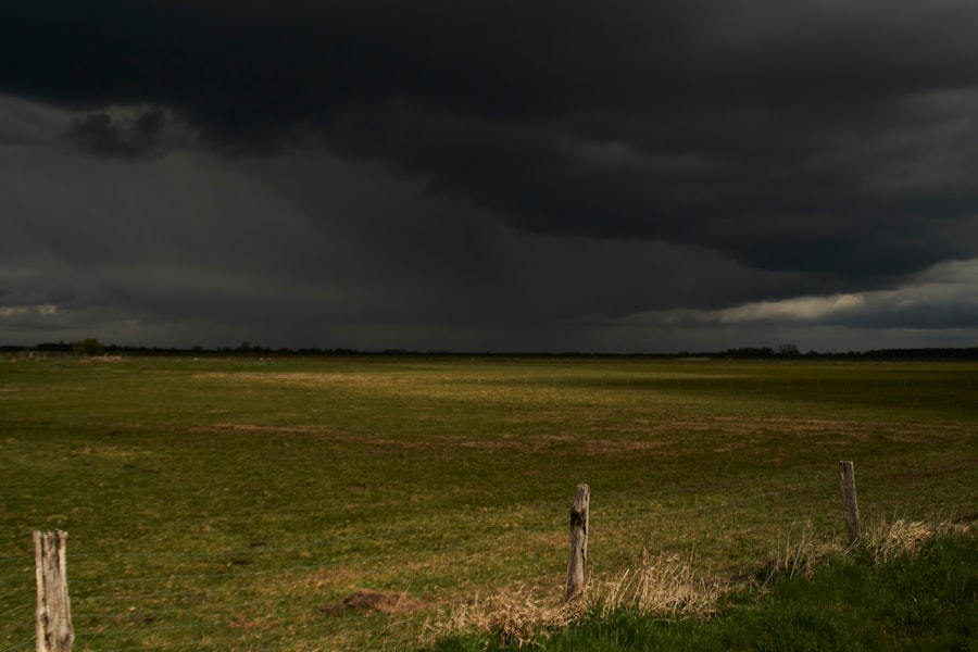 Stay Safe: Tornado Tips for Families 2 abcdhe 11